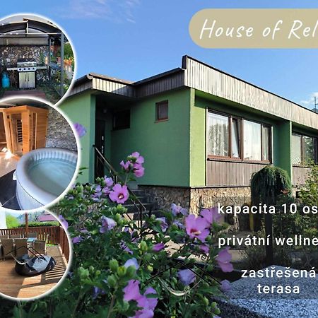 House Of Relax Villa Recany nad Labem Dış mekan fotoğraf