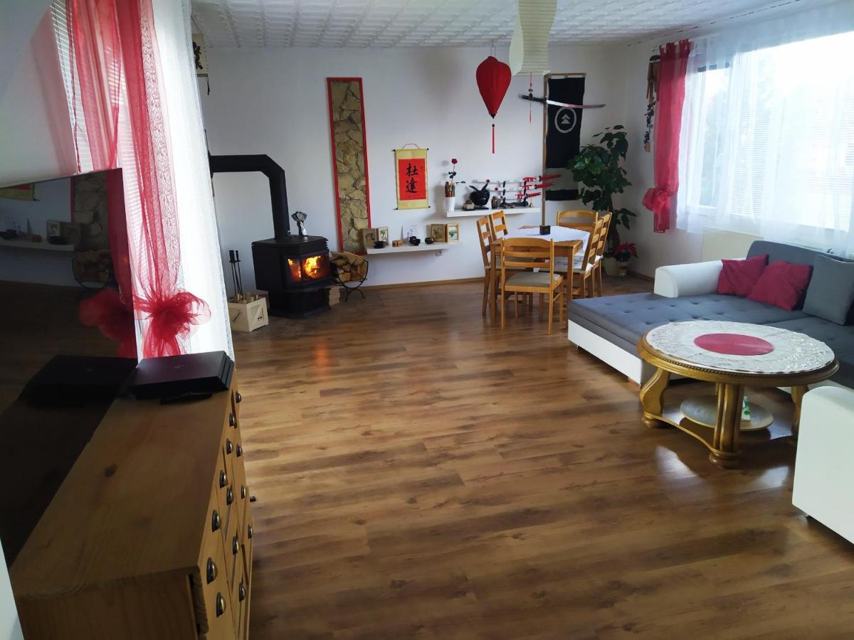 House Of Relax Villa Recany nad Labem Dış mekan fotoğraf